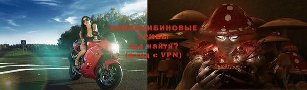 прущая мука Алзамай