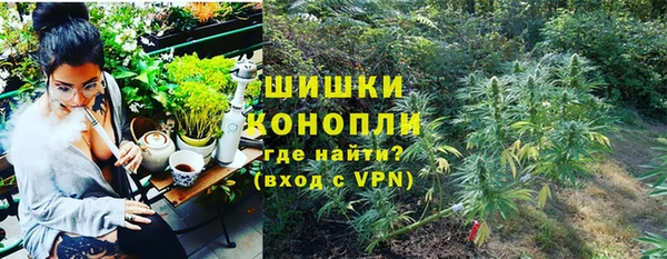 шишки Алексеевка