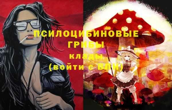 шишки Алексеевка
